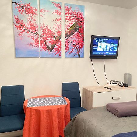 Top Studio Full Optional Saint Louis Vicino Stazione Saint Louis 68300 France Exteriér fotografie
