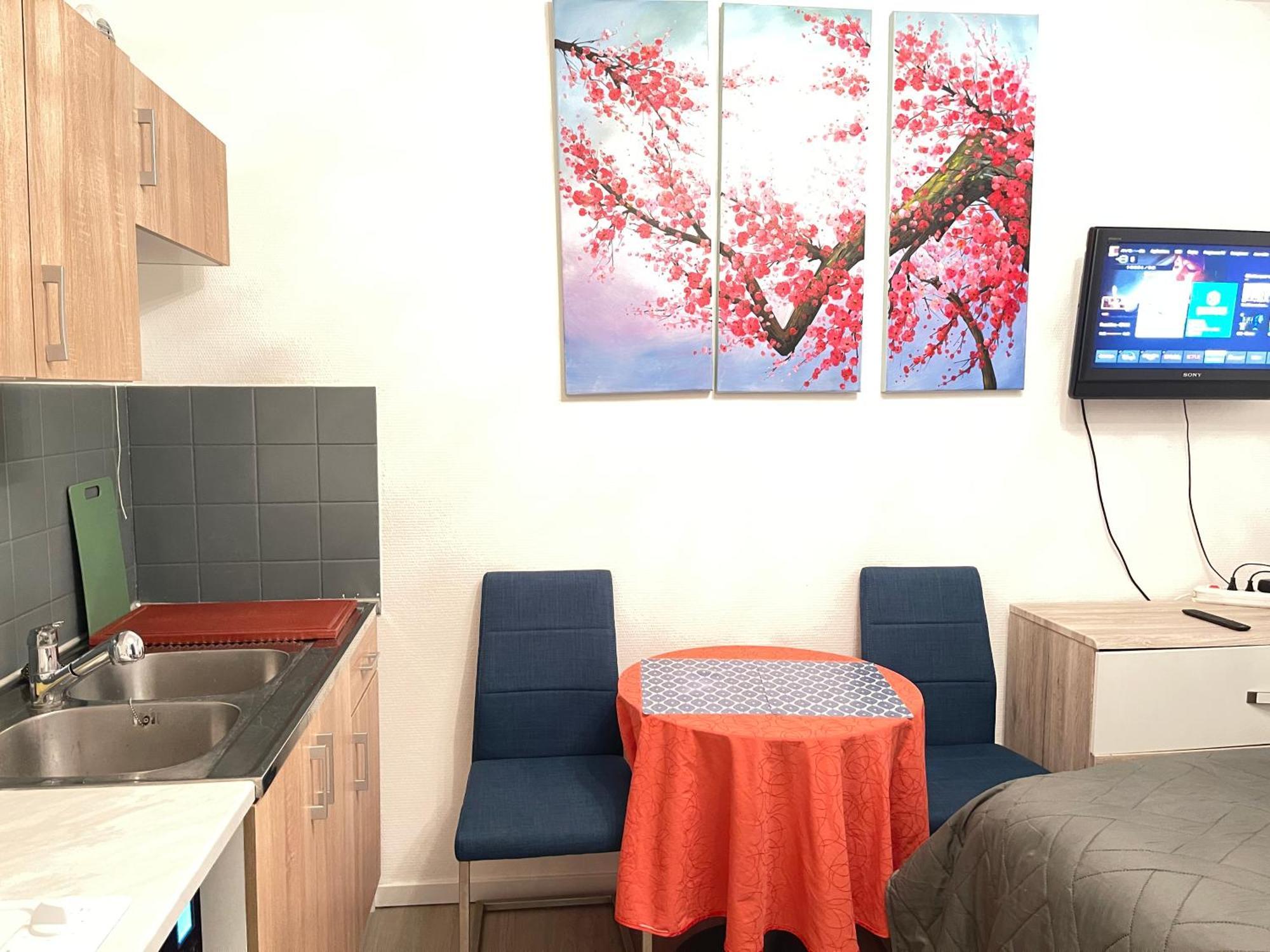 Top Studio Full Optional Saint Louis Vicino Stazione Saint Louis 68300 France Exteriér fotografie
