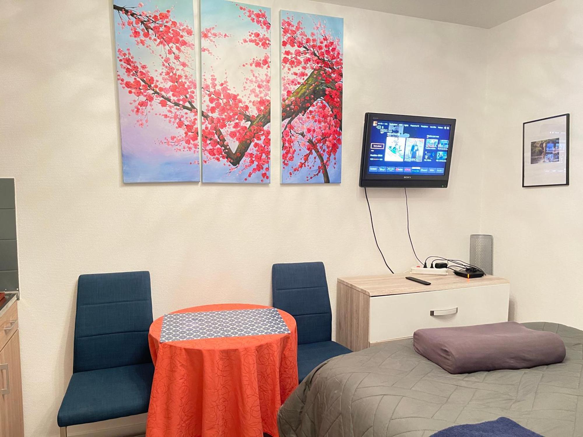 Top Studio Full Optional Saint Louis Vicino Stazione Saint Louis 68300 France Exteriér fotografie