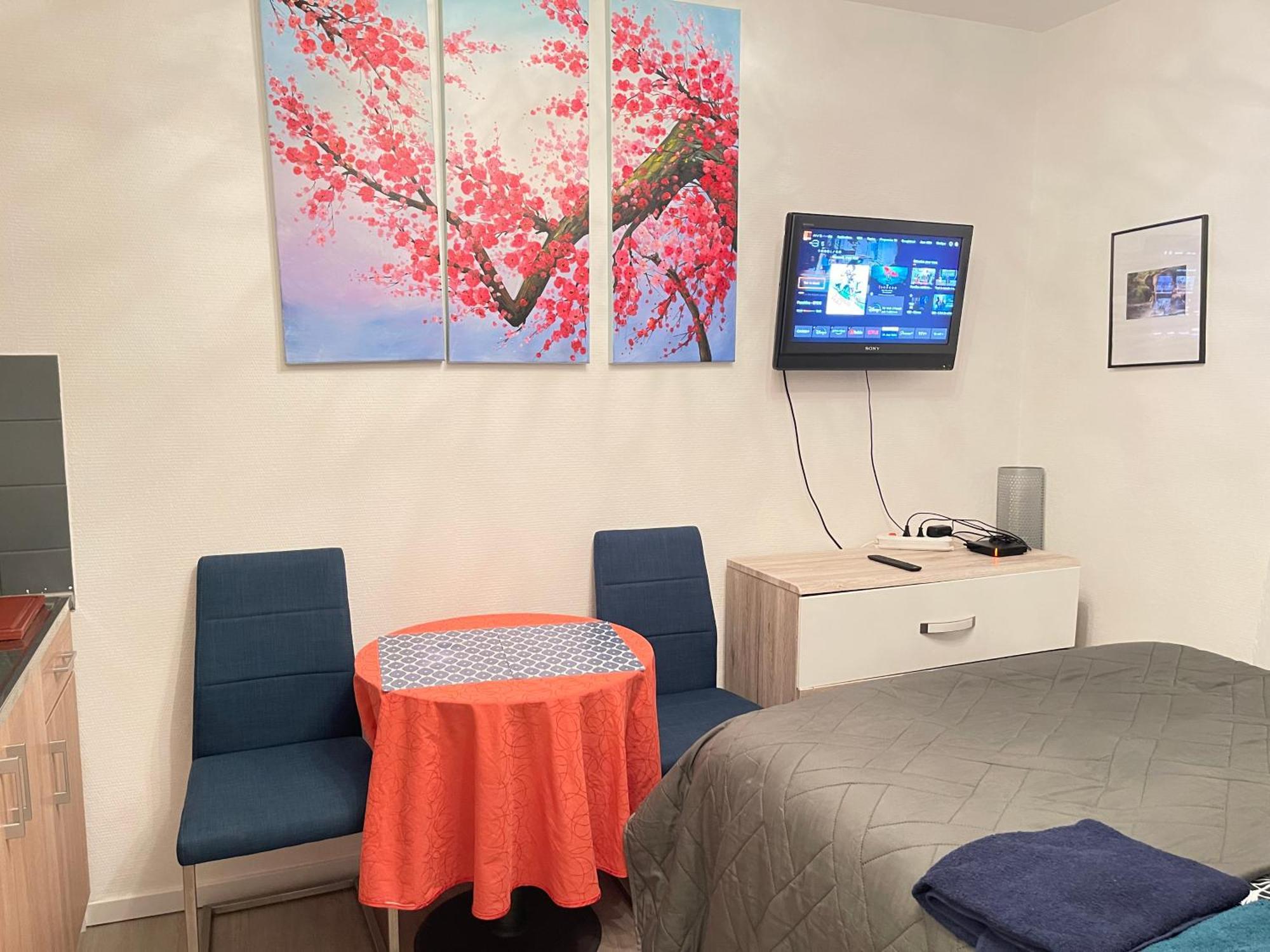 Top Studio Full Optional Saint Louis Vicino Stazione Saint Louis 68300 France Exteriér fotografie
